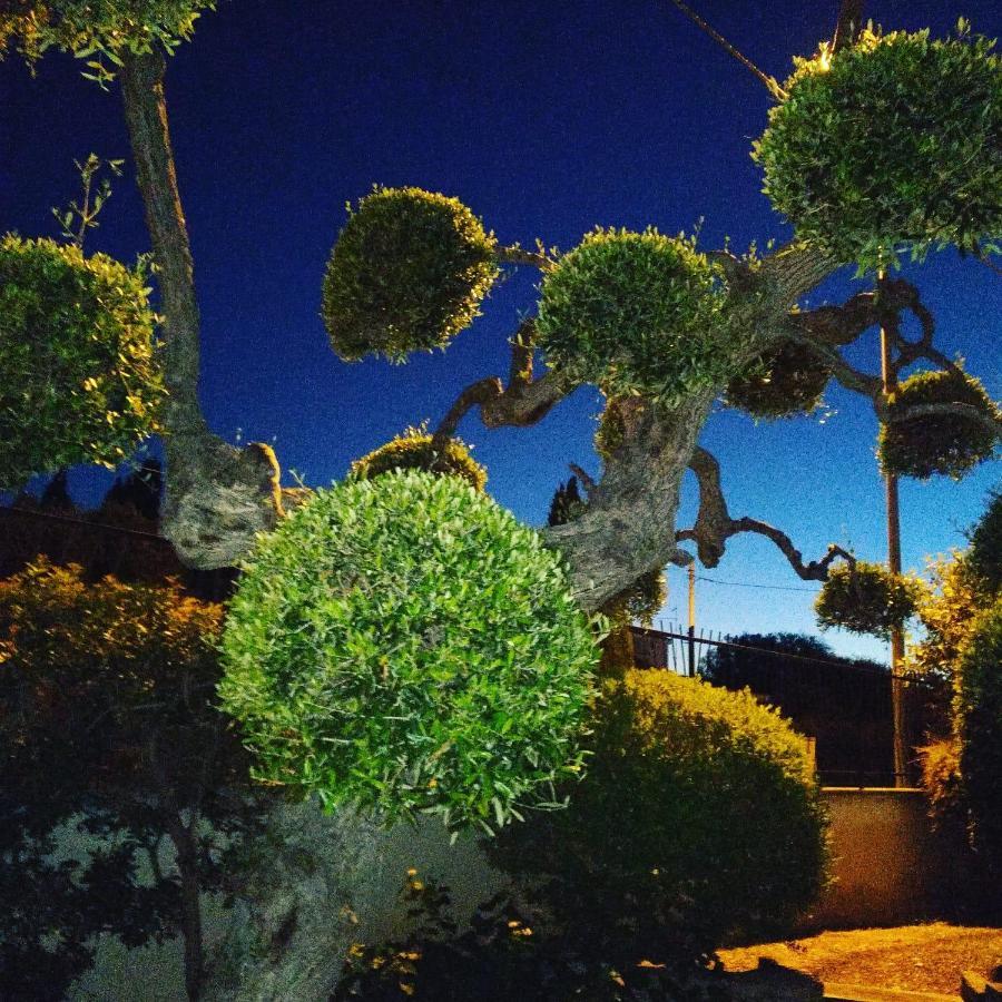 Bnb Villa Lucia Bari Exterior photo